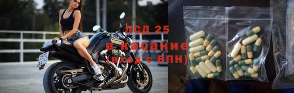 трава Абаза