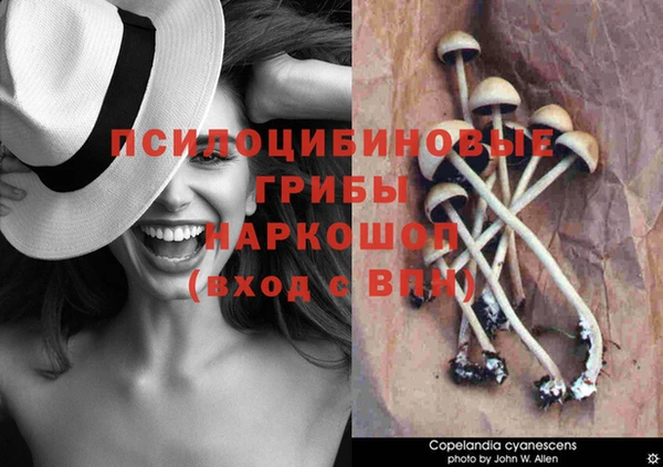 спайс Алексин