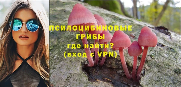 дживик Алексеевка