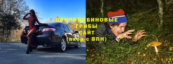 ALPHA PVP Алзамай
