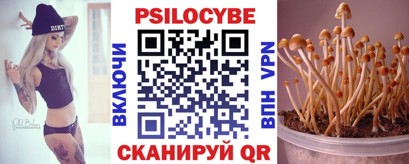 Псилоцибиновые грибы прущие грибы  как найти закладки  Юрьевец 