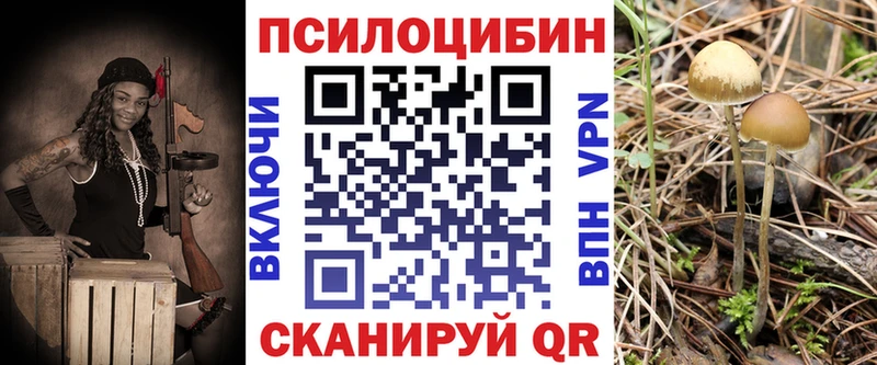 Псилоцибиновые грибы Psilocybe Юрьевец