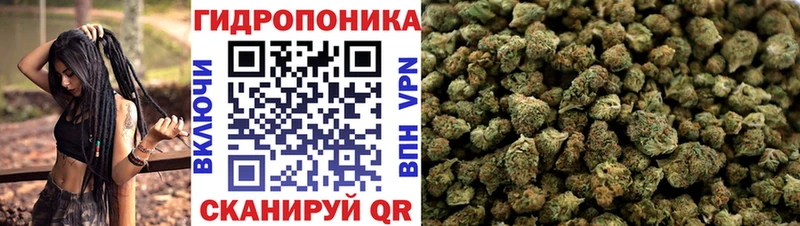 Шишки марихуана гибрид  цены   Юрьевец 